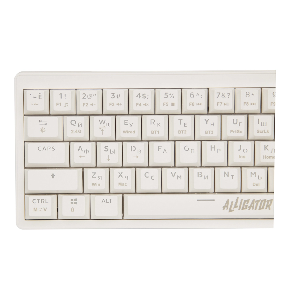Клавиатура Defender Alligator GK-315, White, USB — фото 3