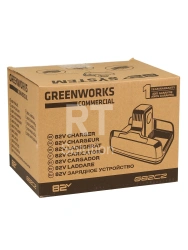 Зарядное устройство Greenworks G82C2