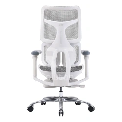 Кресло офисное компьютерное Sihoo S100-B303-JT, Grey