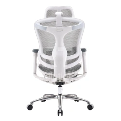 Кресло офисное компьютерное Sihoo C100-B202, White