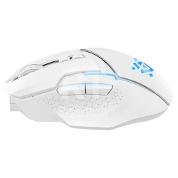 Мышь Defender Ibix GM-895 52896, White, USB