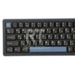 Клавиатура Ducky OK-M-65, Wine Red Switch, Black