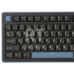 Клавиатура Ducky OK-M-98, Wine Red Switch, Black, USB