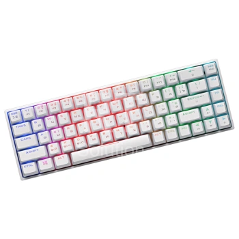 Клавиатура 2E Gaming KG380 RGB, Blue switch, White